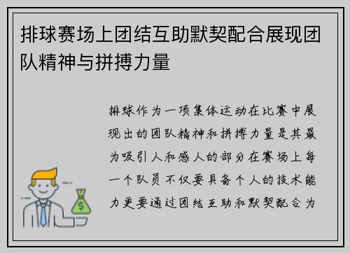 排球赛场上团结互助默契配合展现团队精神与拼搏力量