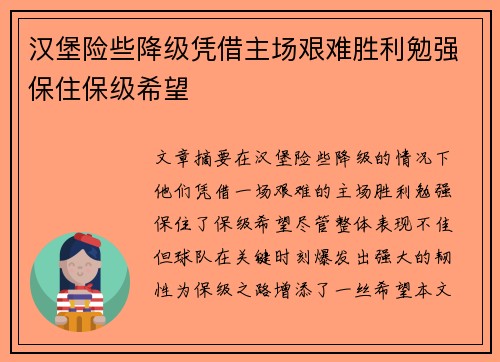 汉堡险些降级凭借主场艰难胜利勉强保住保级希望