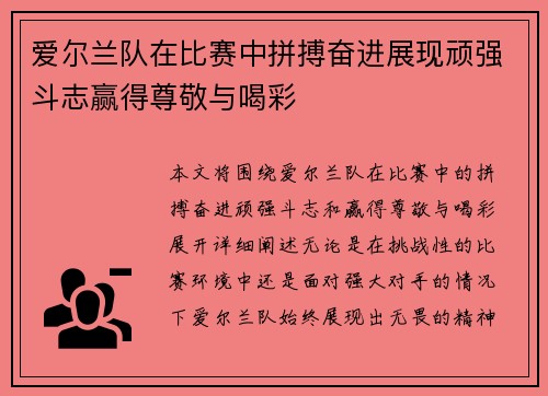 爱尔兰队在比赛中拼搏奋进展现顽强斗志赢得尊敬与喝彩