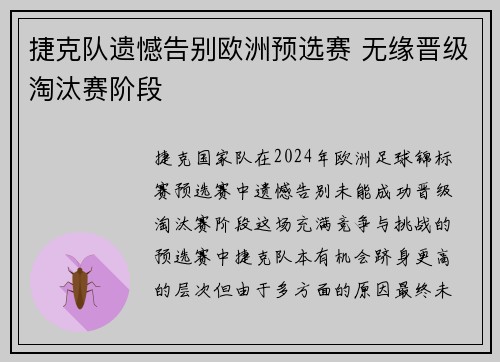 捷克队遗憾告别欧洲预选赛 无缘晋级淘汰赛阶段
