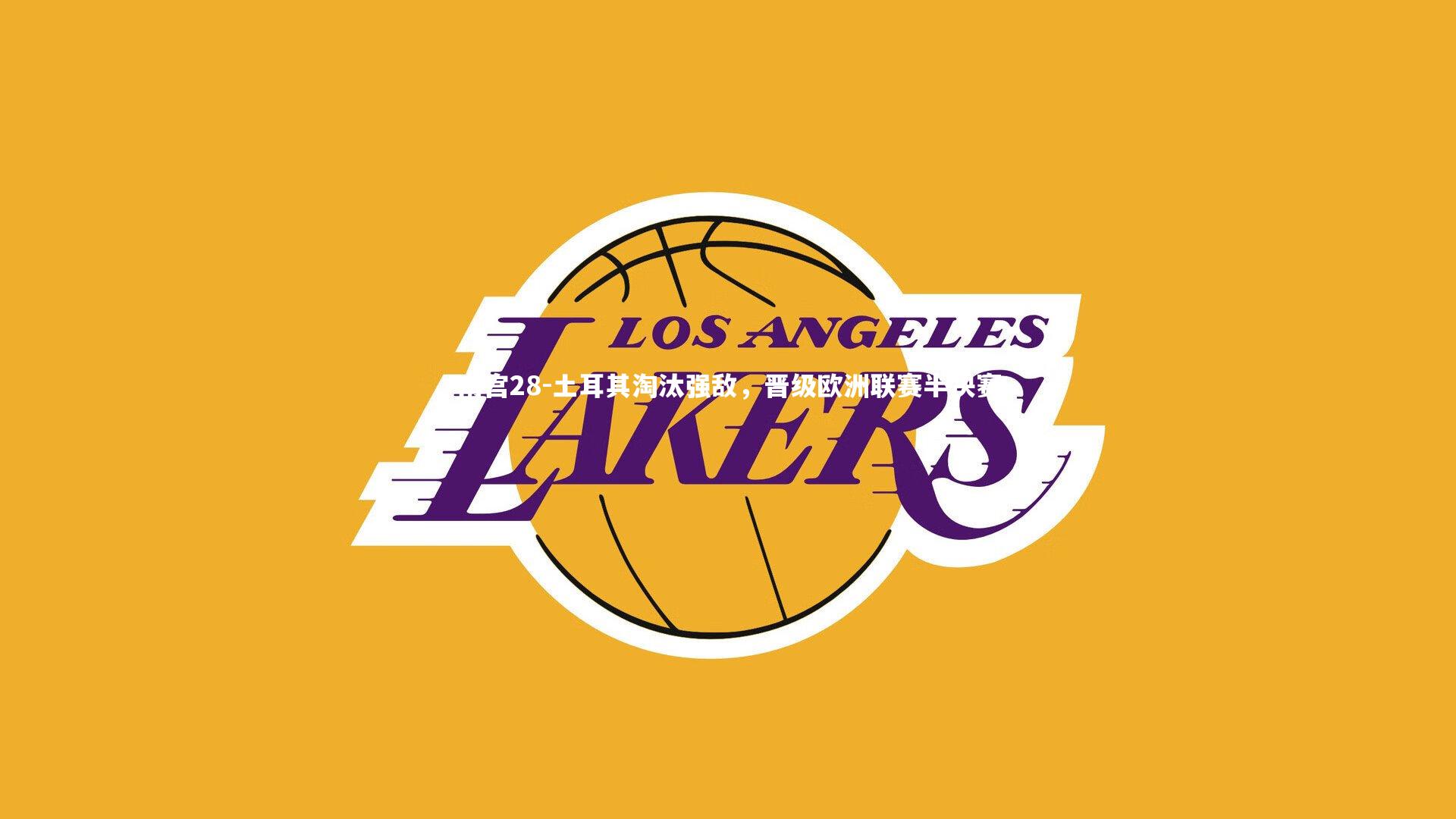 南宫28-土耳其淘汰强敌，晋级欧洲联赛半决赛