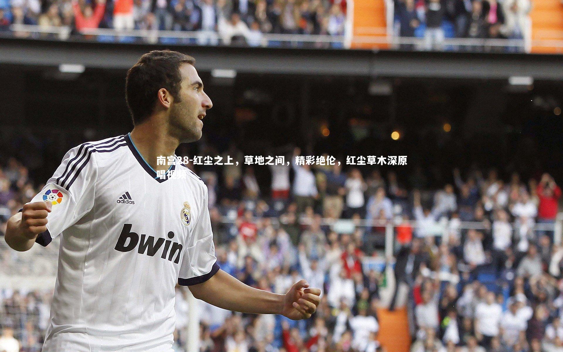 红尘之上，草地之间，精彩绝伦，红尘草木深原唱视频