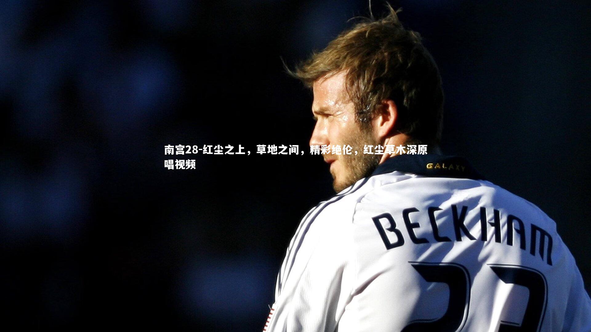 红尘之上，草地之间，精彩绝伦，红尘草木深原唱视频