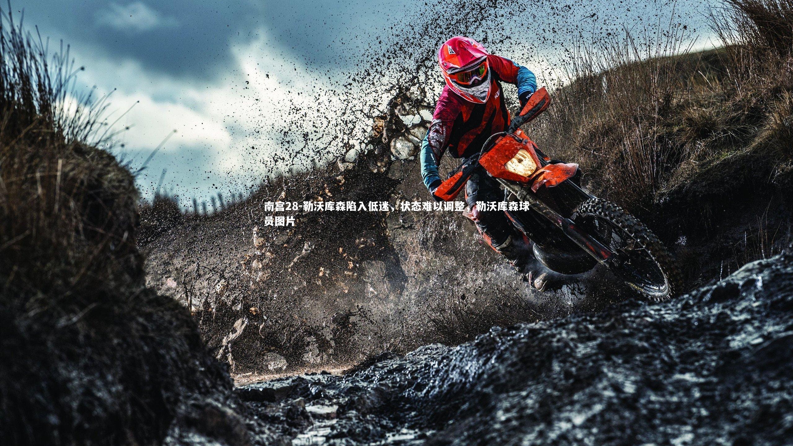 勒沃库森陷入低迷，状态难以调整，勒沃库森球员图片